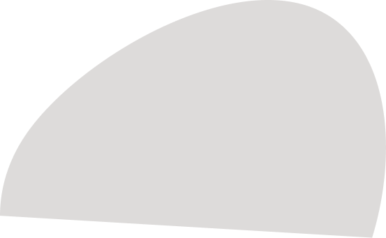 goose logo